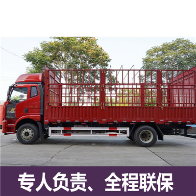 惠州到平頂山整車運輸公司-惠州到平頂山整車運輸